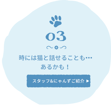 時には猫と話せることも・・・あるかも！